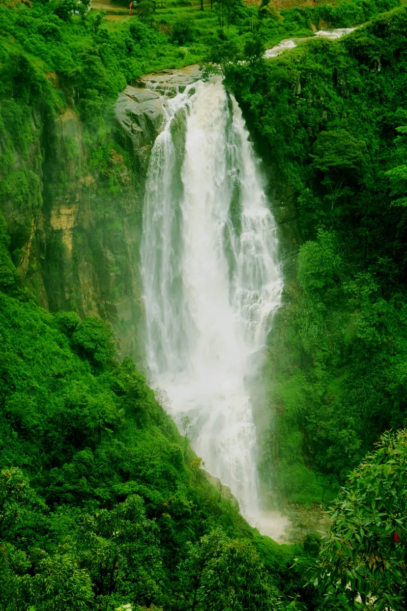 Nuwara Eliya and its tea plantations