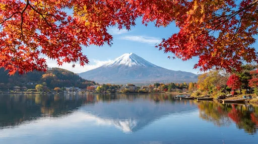 Mount Fuji framed by red autumn maple leaves