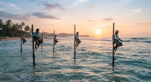 Stilt fishermen on the south coast at sunset