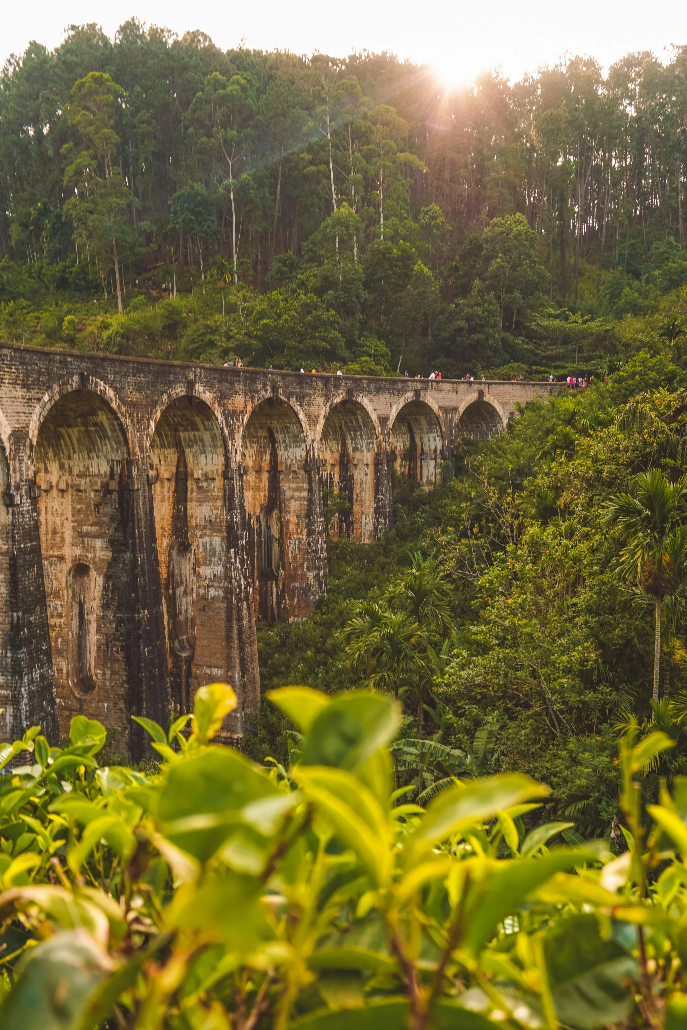 A blue train crossing the Nine Arch Bridge in Ella
