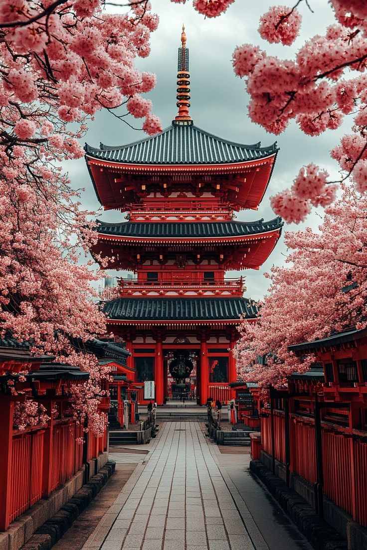 Where Tradition Meets the Future
