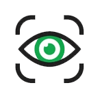 Vision Icon